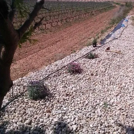 Country house Ca Lazaro *